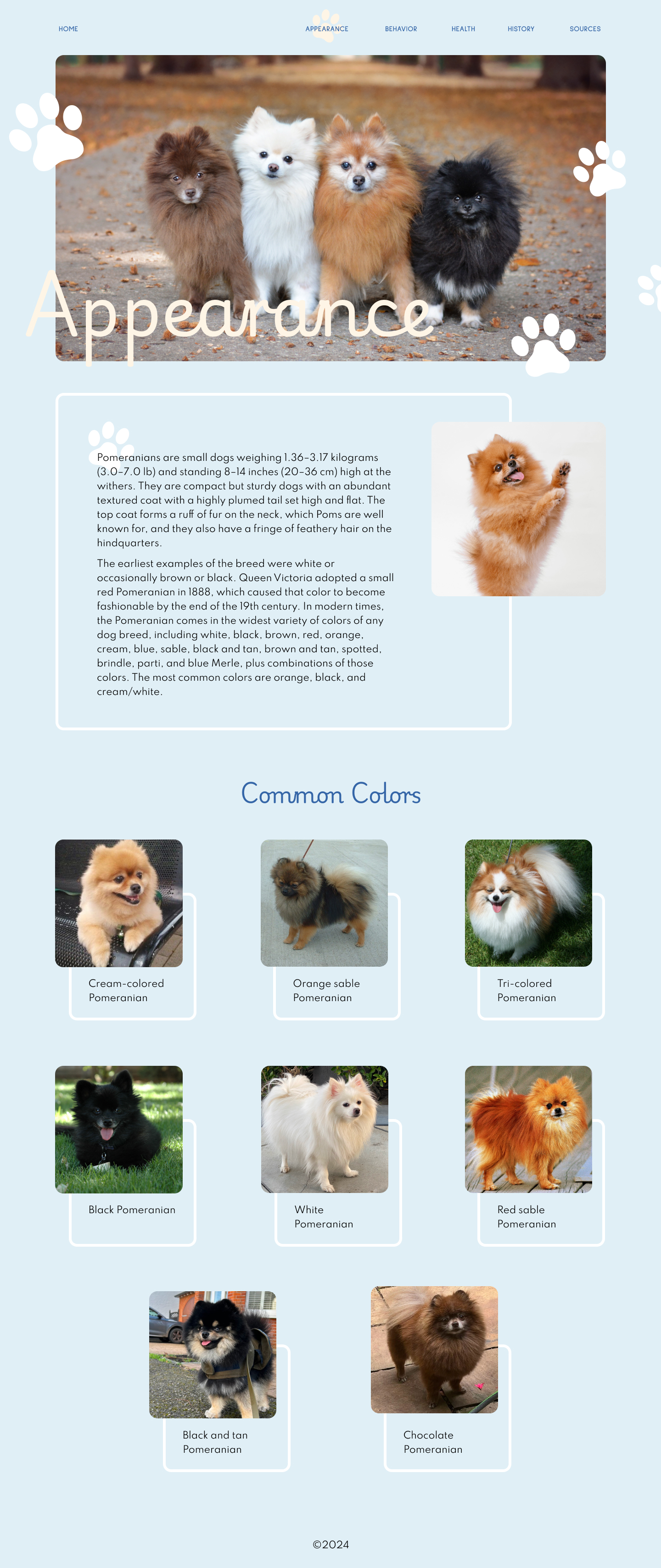 Pomeranians microsite mockup B desktop